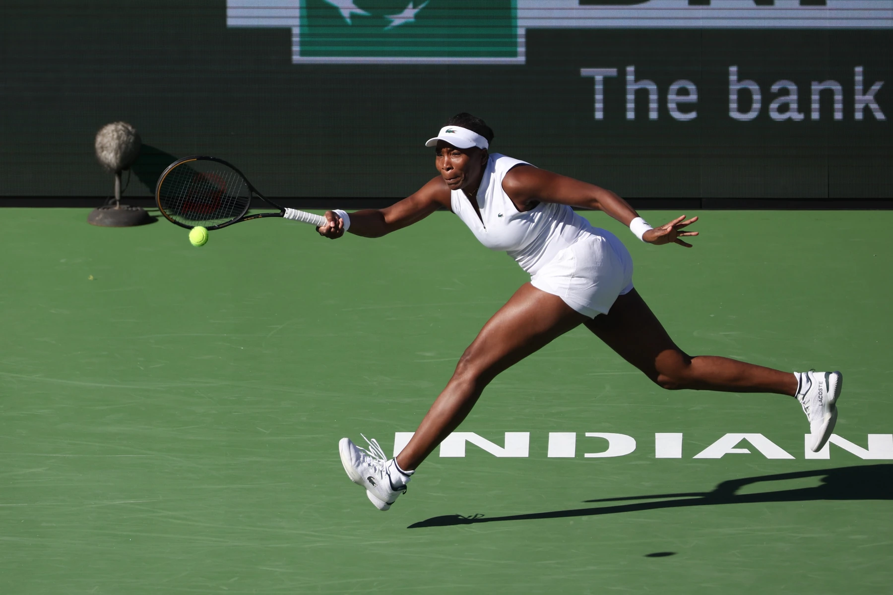 Supporting image for Sofia Kenin stops Venus Williams after a tense second-set escape